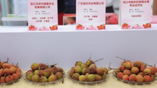 天猫配资端 吉利汽车：拟参与设立合资公司，可加强在巴西的品牌影响力及扩大市场覆盖范围