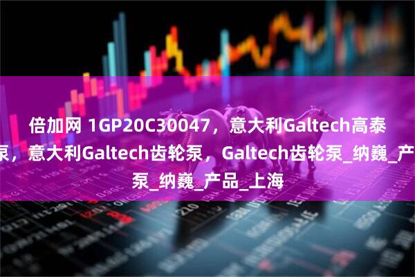 倍加网 1GP20C30047，意大利Galtech高泰克三连泵，意大利Galtech齿轮泵，Galtech齿轮泵_纳巍_产品_上海