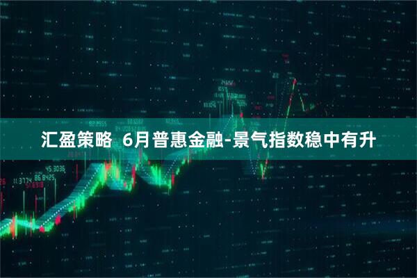 汇盈策略  6月普惠金融-景气指数稳中有升