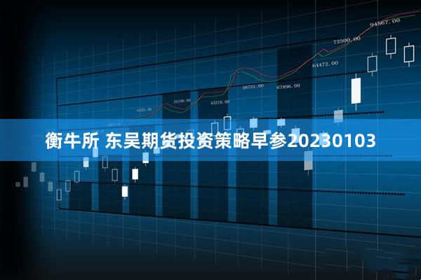 衡牛所 东吴期货投资策略早参20230103