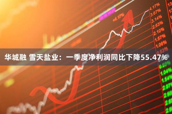 华城融 雪天盐业：一季度净利润同比下降55.47%